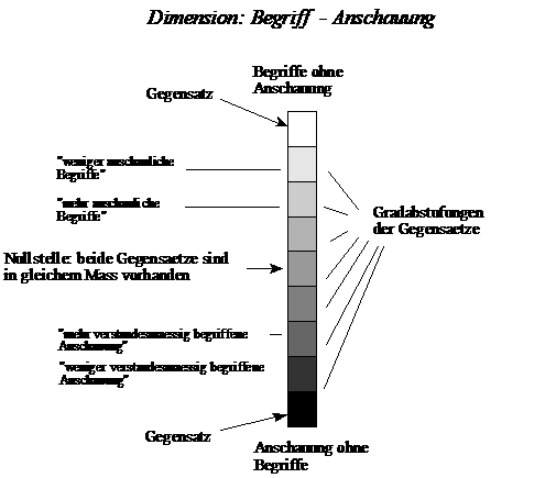 Dimension/Gradabstufungen von Begriff und Anschauung